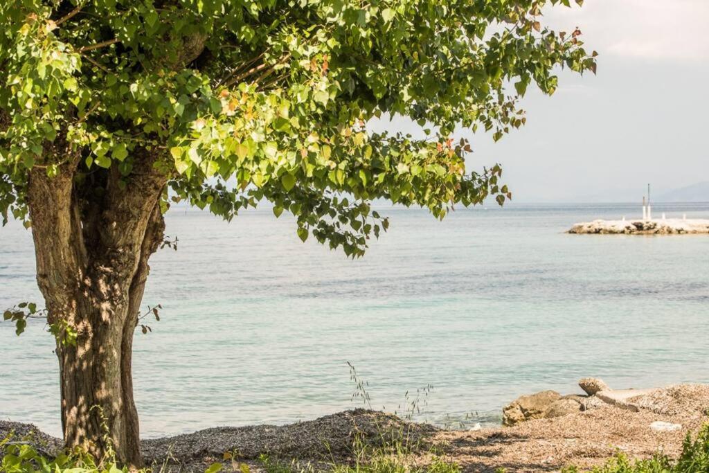 Theofilia Sea Side * Benitses (Corfu)